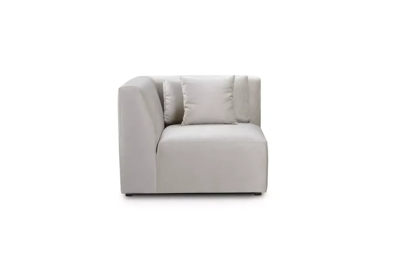 Modul-C100